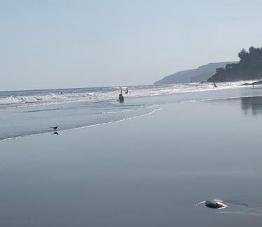El Zonte Casa | SEA ROCk
