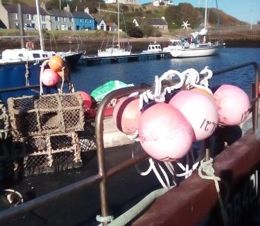 Helmsdale Cama Y Desayuno | Sea Song, Selkie House