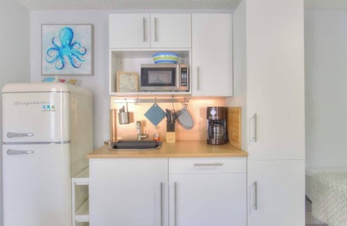 Largo Apartamento | Sea Turtle-Guest Suite