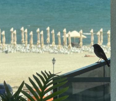 Navodari Apartamento | Sea View Luxury Retreat - private parking