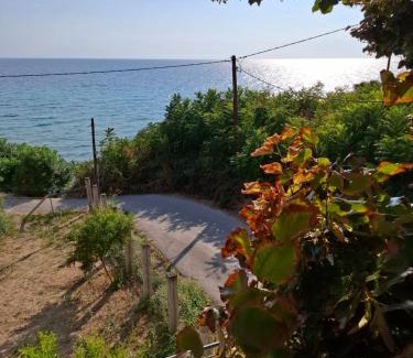 Nea Propontida Apartamento | Seafront Lux Apartment