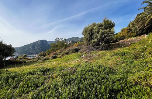 Avlakia Apartamento | Seafront studio with terrace