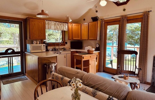 Penobscot Cabina | SeaRiver Cabin on the Bagaduce, Kayaks Included. Seals, Wildlife, Birds & Nature