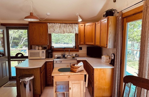 Penobscot Cabina | SeaRiver Cabin on the Bagaduce, Kayaks Included. Seals, Wildlife, Birds & Nature