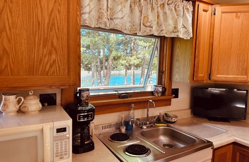 Penobscot Cabina | SeaRiver Cabin on the Bagaduce, Kayaks Included. Seals, Wildlife, Birds & Nature