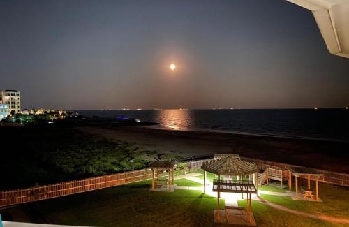 Galveston Apartamento | Seascape 2317 Condo