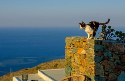 Ano Meria Apartamento | Seascape Suites Folegandros