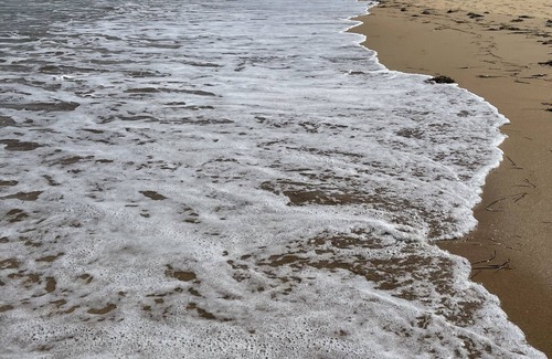 Umina Beach Casa | Seashells at Umina Beach