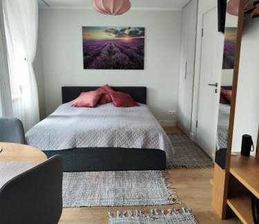 Engure Apartamento | Seaside apartment Albatross, spa and pool