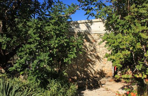 Cove Rogacic Casa | Seaside holiday house Cove Rogacic, Vis - 8887