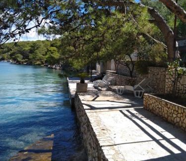 Island Dugi Otok Apartamento | Seaside secluded apartments Cove Dumboka bay - Dumboka (Dugi otok) - 489