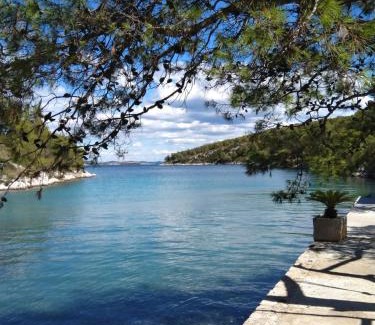 Island Dugi Otok Apartamento | Seaside secluded apartments Cove Dumboka bay - Dumboka (Dugi otok) - 489
