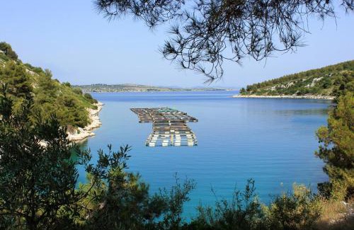 Island Dugi Otok Apartamento | Seaside secluded apartments Cove Dumboka bay - Dumboka (Dugi otok) - 395