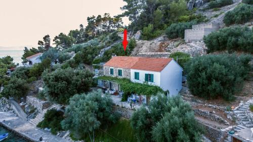 Gdinj Apartamento | Seaside secluded apartments Cove Torac, Hvar - 4875