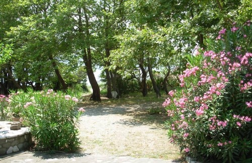 Marathias Casa | Casa / villa / chalet - Marathias