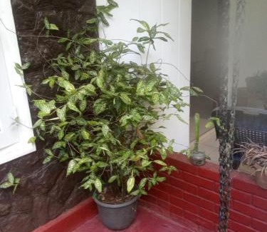 Talalla Apartamento | Seaside Villa Talalla