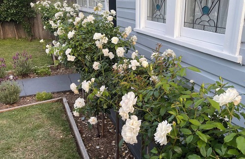 Shellharbour Cabaña | Seaside Village Cottage Charm