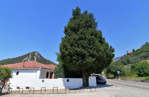 Kaluđerac Casa | Seaside vintage house. Airy, specific, with a large garden. Pet friendly.