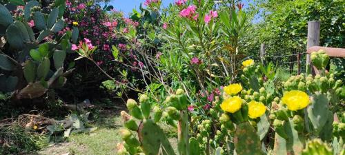 Capo d'Orlando Casa | SeaSun House