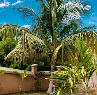 Whitehouse Casa | Seaview Penthouse Retreat 4 Beds 3 Baths Stay