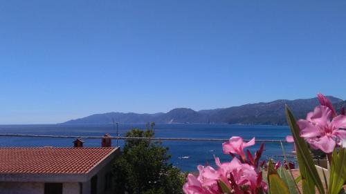 Cala Gonone Apartamento | Sebastian House