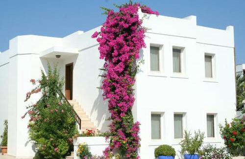 Bodrum City Center Hotel | Seckin Konaklar