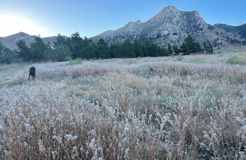 Sequoia National Forest Casa | Secluded 20-Acre Ranch Getaway with Breathtaking Sierra Foothill Views