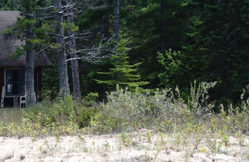 Cheboygan Cabina | Secluded Beach Front Log Cabin Next to Nature Preserve