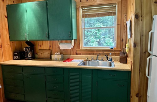 Dushore Cabina | Secluded Cabin in Great Location - Close to State Parks in the Endless Mountains