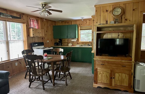 Dushore Cabina | Secluded Cabin in Great Location - Close to State Parks in the Endless Mountains