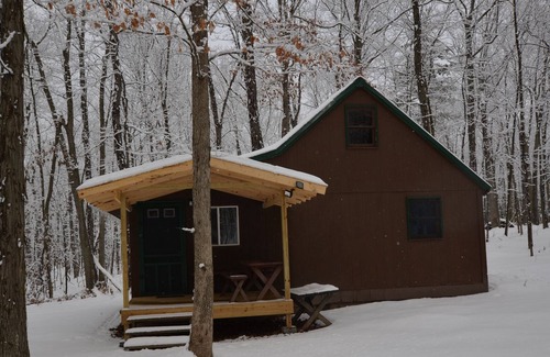 Hammondsport Cabina | Secluded Cabin near Keuka Lake in the Finger Lakes Region