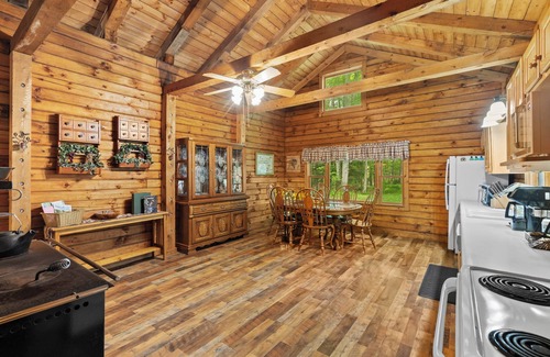 Avoca Cabina | Secluded cabin on creek-Hiking, Fire Pit, Large Yard, Pet Friendly!