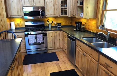 Wetmore Cabina | Secluded Cabin w/King Bed/Sauna/Creek
