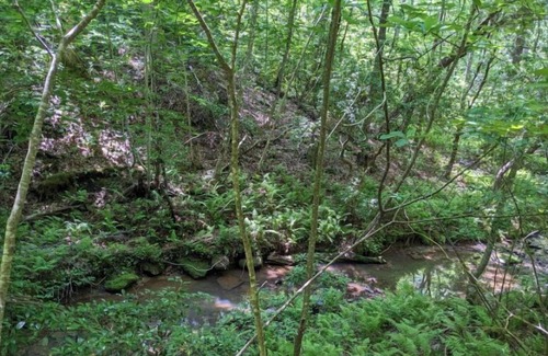 Spring City Alquiler De RV | Secluded Campground perfect for Adventurous Travelers
