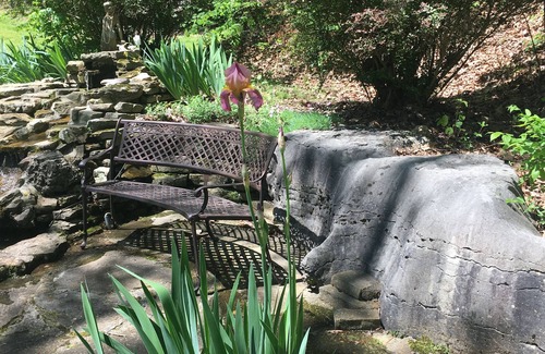 Eureka Springs Cabina | Se admiten mascotas de una habitación