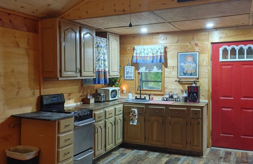 Sloans Valley Cabina | Secluded, cozy cabin in the woods - rustic but with all modern conveniences!