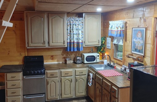 Sloans Valley Cabina | Secluded, cozy cabin in the woods - rustic but with all modern conveniences!