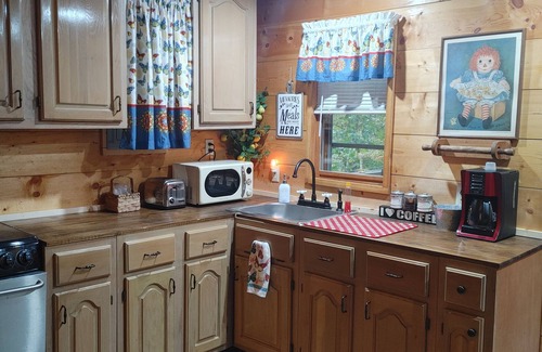 Sloans Valley Cabina | Secluded, cozy cabin in the woods - rustic but with all modern conveniences!