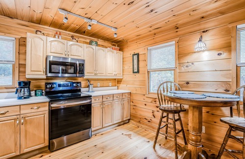 Ellijay Cabina | Secluded dog-friendly cabin w/grill, deck, forest & mountain views, 4x4 required