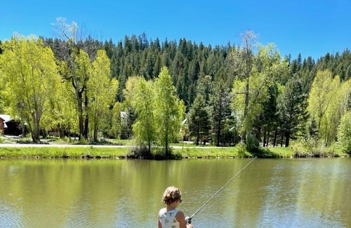 San Juan River Village Cabina | Secluded family cabin in the heart of the San Juan Mountains