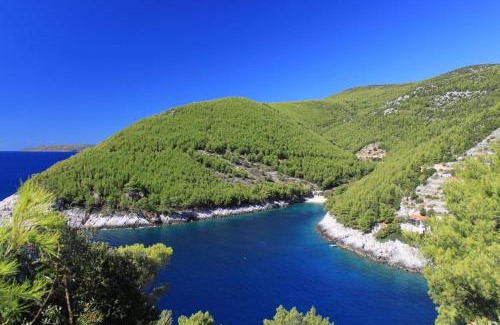 Zrnovo Casa | Secluded fisherman's cottage Cove Bratinja Luka, Korcula - 9224