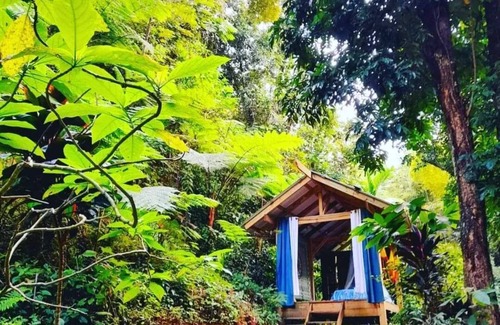 Utuado Otro | Secluded Healing Mountain Retreat @ Finca Remedio Eco Farm