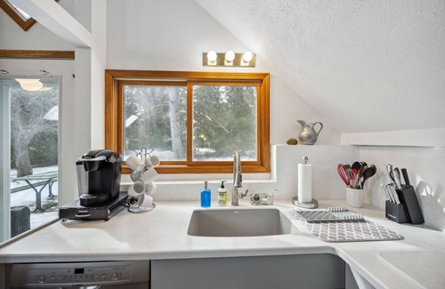 Burt Lake Cabaña | Secluded hideaway in the woods! Renovated, well appointed 1928 cottage