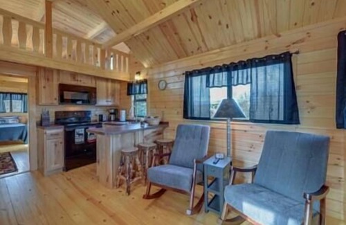 Traphill Casa | Secluded hillside cabin with mountain views!