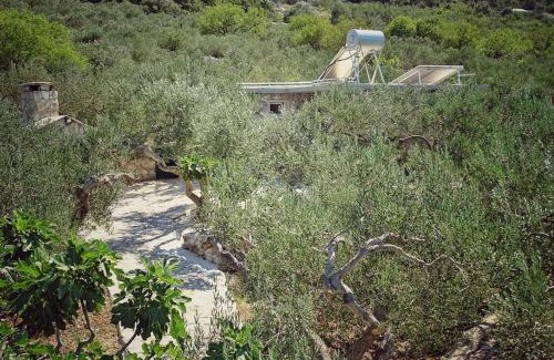Povlja Casa | Secluded holiday house Povlja, Brac - 14500