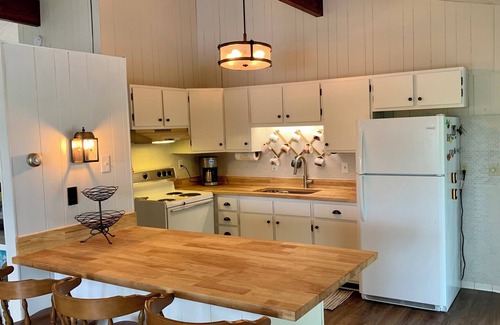 Wolverine Casa | Secluded Lakefront Home- Winter Wonderland & Summer All-Sports Getaway!