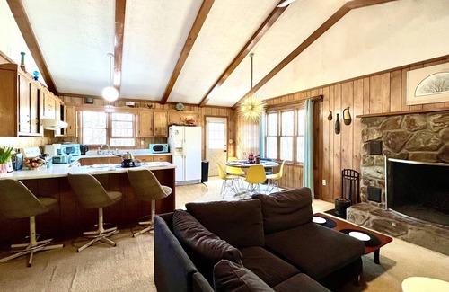 Mineral Bluff Cabina | Secluded Mid Century Hideaway