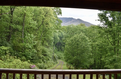 Burnsville Cabina | Secluded Mountain 4 Bedroom Cabin