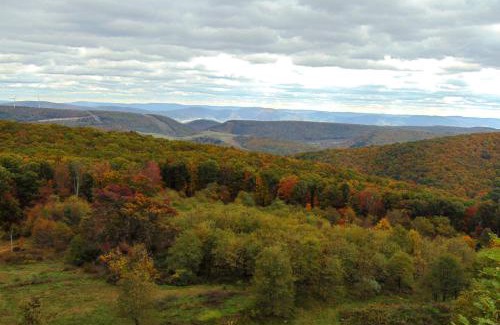 Wardensville Casa | Secluded Mountain Cabin in Wardensville!