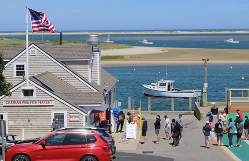 North Chatham Cabaña | Secluded North Chatham Cottage for Entire Summer [July/August]!